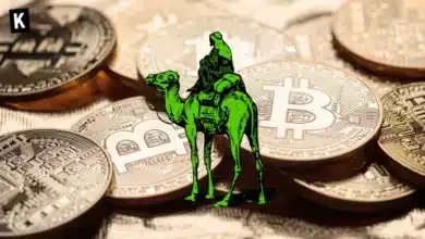 Bitcoin thief pleads guilty in Silk Road Bitcoin case