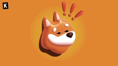 Bonk meme coin logo on an orange background