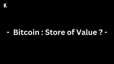 Bitcoin Store of Value