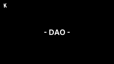 Organisation Autonome Décentralisée (DAO)