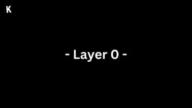 Layer 0