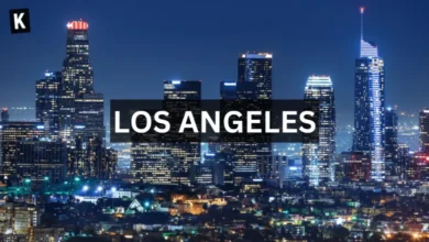 Los Angeles Banner
