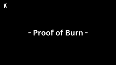 Proof of Burn
