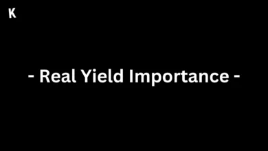 Real Yield Importance