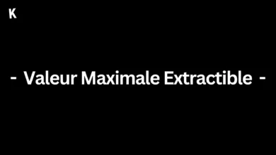 Valeur Maximale Extractible