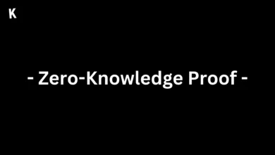Zero-Knowledge Proof
