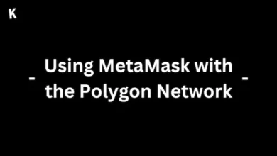 Using MetaMask with the Polygon Network