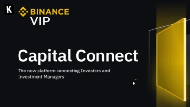 Binance Lance Capital Connect : Nouvelle Plateforme VIP d'Investissement