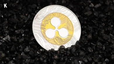 Ripple Scores Judicial Win Boosts XRP & Crypto Market