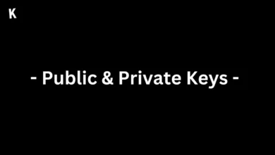Public & Private Keys