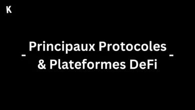 Principaux Protocoles & Plateformes DeFi